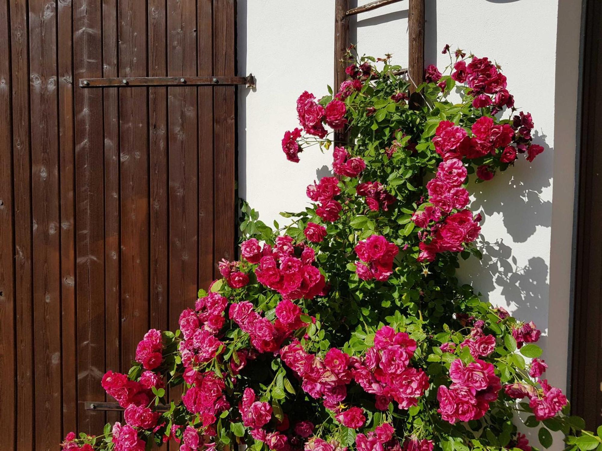 Ferienhaus Forstblick Betzenstein Exterior foto