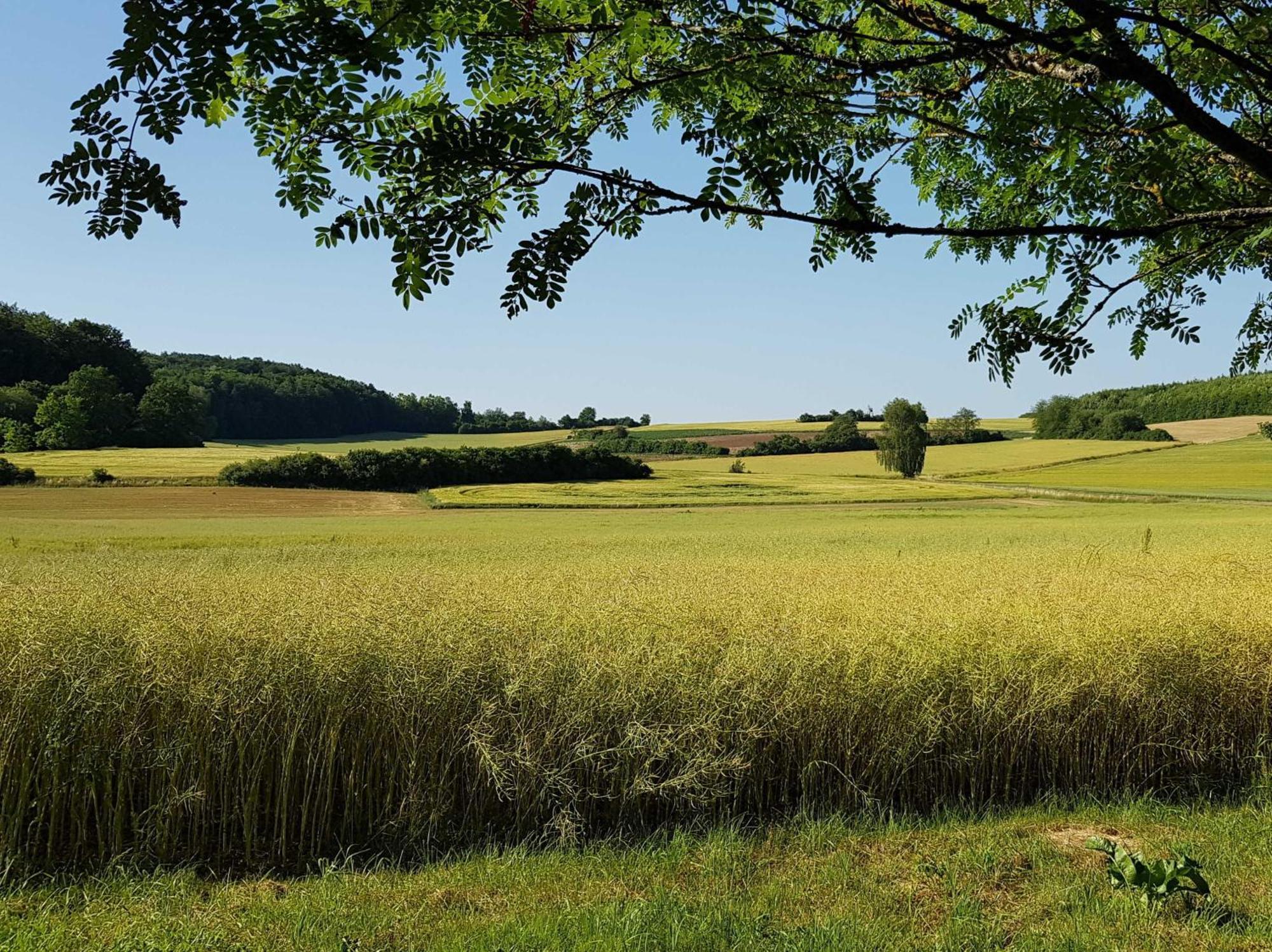 Ferienhaus Forstblick Betzenstein Exterior foto